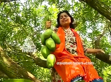 മുതലമട കേരളത്തിന്‍റെ "മാംഗോ സിറ്റി "