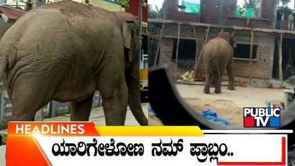 Public TV | Headlines @ 11 AM | June 4, 2022