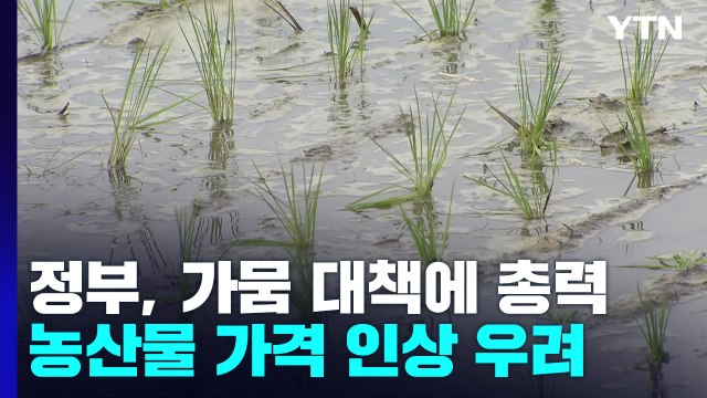 정부, 가뭄 대책에 총력...농산물 가격 인상 우려 / YTN