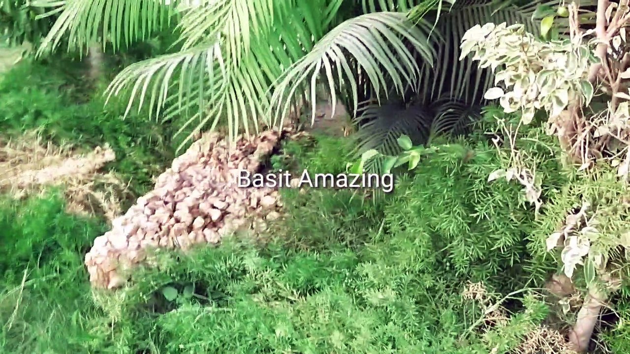 Masjid Sakina-tu-Sughra Jatoi  Pakistan || Jotai masjid || Basit Amazing
