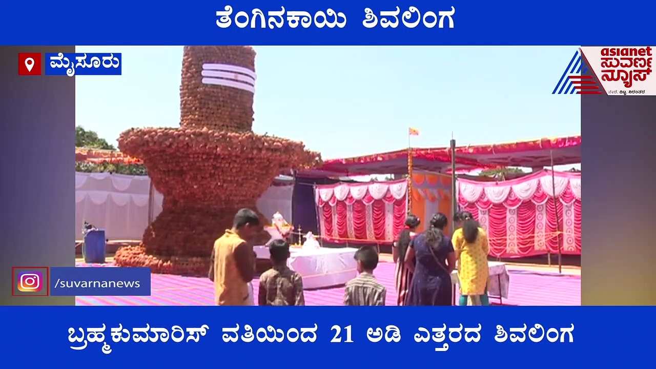 ಮೈಸೂರಿನಲ್ಲಿ 21 ಅಡಿ ಎತ್ತರದ ತೆಂಗಿನಕಾಯಿಯ ಬೃಹತ್ ಶಿವಲಿಂಗ