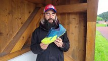 Test Dynafit Alpine Trailrunningschuh | ALPIN - Das Bergmagazin