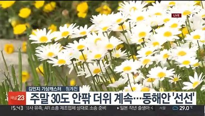 [날씨] 30도 안팎 더위…내일 강원영동·남부 비