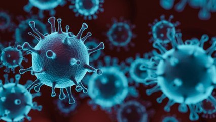 ಭಾರತದಲ್ಲಿ ಹೊಸ ಅಲೆಯ ಆತಂಕ ಸೃಷ್ಟಿ ಮಾಡಿದ ಕೊರೋನಾ ವೈರಸ್ | #India | OneIndia Kannada