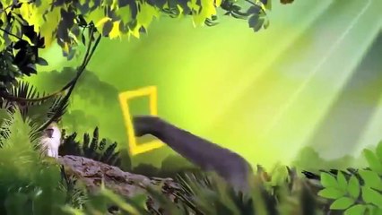 Life of Elephants [National Geographic Documentary HD 2017]