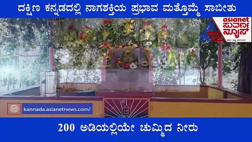 ಕರಾವಳಿಯಲ್ಲಿ ನಾಗ ಶಕ್ತಿಯ ಪವಾಡ; ಬತ್ತಿದ ಕೊಳವೆ ಬಾವಿಯಲ್ಲಿ ಚಿಮ್ಮಿದ ನೀರು!