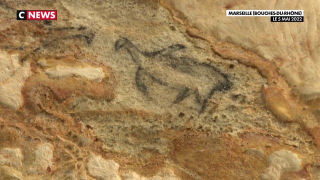 Marseille : la réplique de la grotte Cosquer «le Lascaux sous-marin» ouvre ses portes aujourd’hui