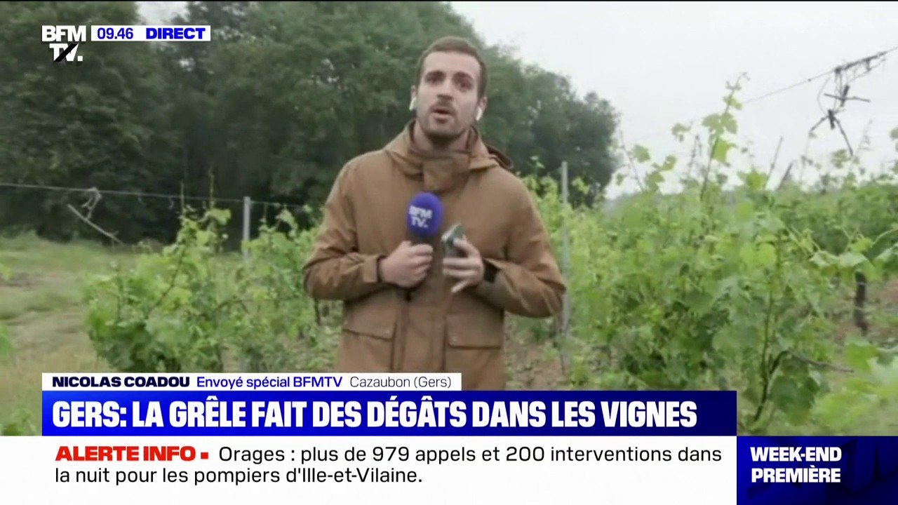 Dans les vignes du Gers, les rafales de vent, les impacts de foudre et la grêle ont fait d'importants dégâts