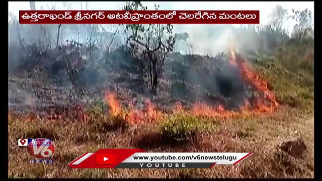 Fire Breaks Out In Tehri Garhwal Forest in Uttarakhand _ V6 News