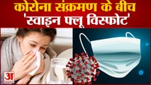Swine Flu Outbreak: कोरोना संक्रमण के बीच 'स्वाइन फ्लू विस्फोट', जानिए इसके लक्षण और बचाव के तरीके