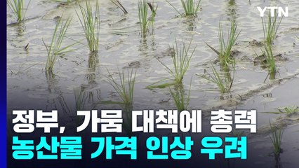 정부, 가뭄 대책에 총력...농산물 가격 인상 우려 / YTN