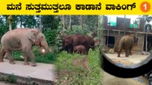 ಸಕಲೇಶಪುರದಲ್ಲಿ ಹೆಚ್ಚಾಯ್ತು ಕಾಡಾನೆ ಕಾಟ | Oneindia Kannada