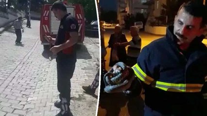 Tokat'ta ani hava ısınması, yılan hareketliliğini artırdı