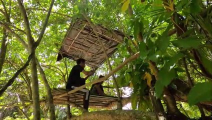BUAT ATAP RUMAH POHON _ MAKAN SIANG NASI PADANG DI ATAS POHON