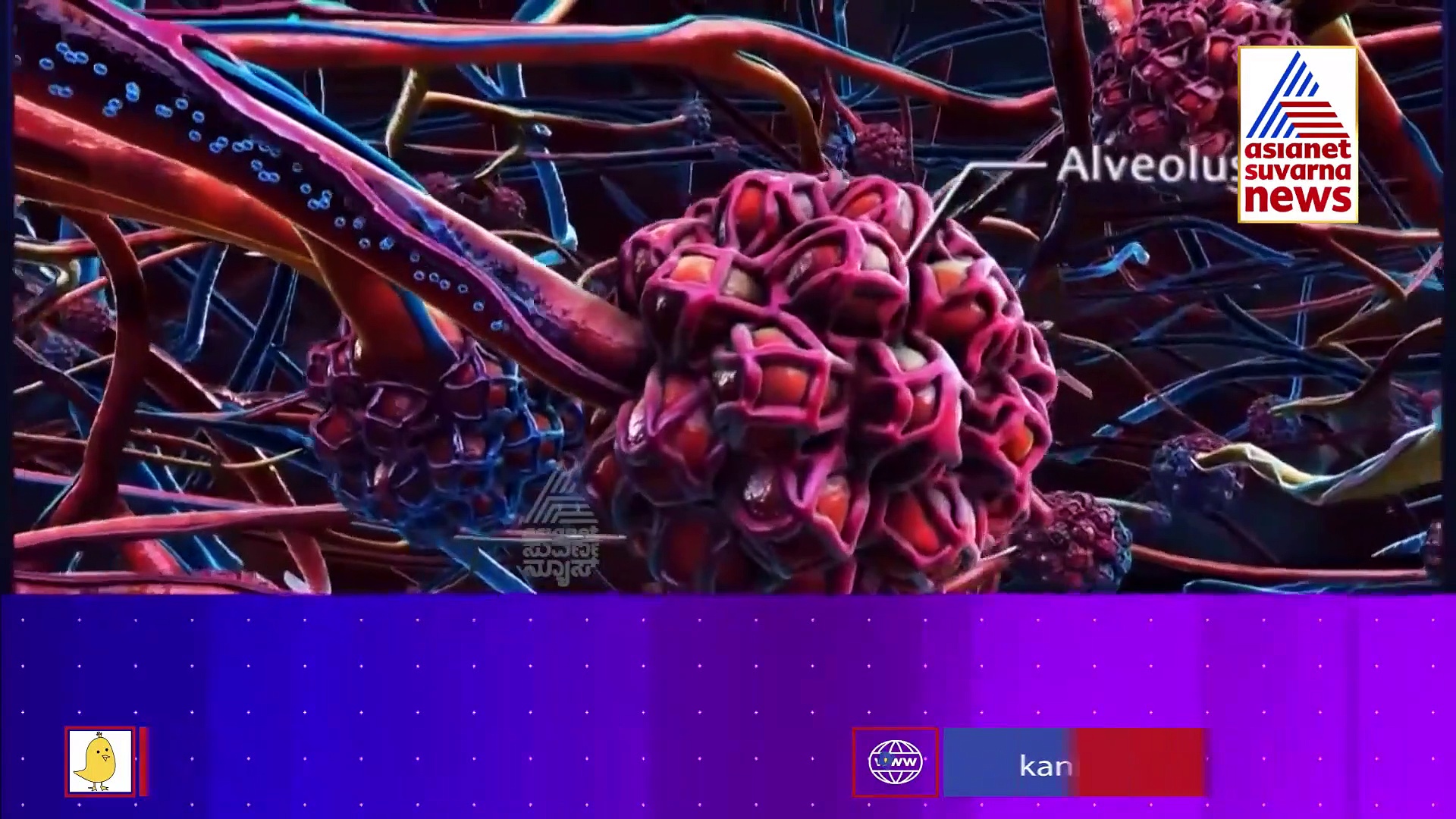 ಆಕ್ಸಿಜನ್ ಹಾಹಾಕಾರ, ಫ್ರೀ ಕೊಡೊಕೆ ಬಂದ್ರು ಟಾಟಾ ಅಂಬಾನಿ..!