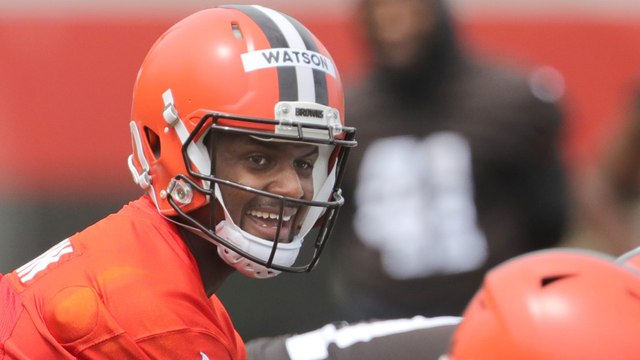 NFL AFC North Market: Watson Is A Distraction For Cleveland (+200)