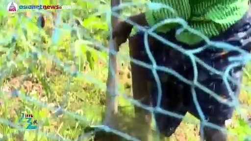 അന്ന്‌ ബാലതാരം,ഇന്ന്‌ നായകന്‍