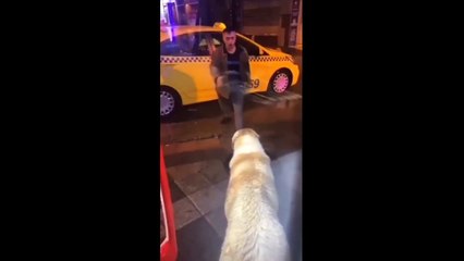 İşte alkolün insanı düşürdüğü rezil durum!