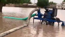 Inondations à Taïba Niassène, manque de matériels agricoles : Elhadj Abdoulaye Niasse interpelle le Président Macky Sall