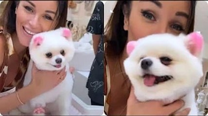 Alex Belli e Delia Duran tingono il cane di rosa e scatta la polemica: "Non è uno giocattolo, i colo