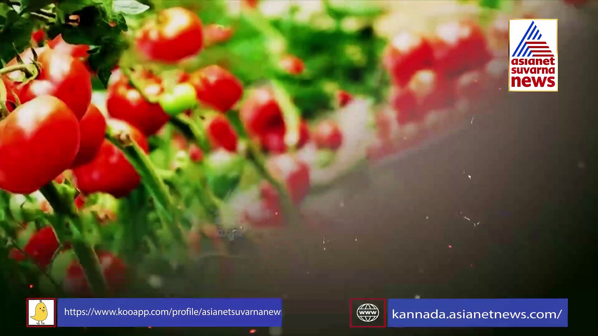 ರಾಜ್ಯದಲ್ಲಿ  ಮತ್ತೆ ಸೋಂಕು ಏರಿಕೆ, ರೈತರ ನೆರವಿಗೆ ಬರಬೇಕಿದೆ ಸರ್ಕಾರ