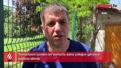 Yumurtanın içinden yumurta çıktı