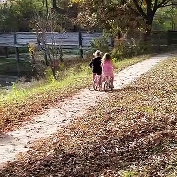 Los Mejores Vídeos De Risa 2022 [Si Te Ríes Pierdes Nivel Dios], Vídeos engraçados, tik tok compilacion 2022