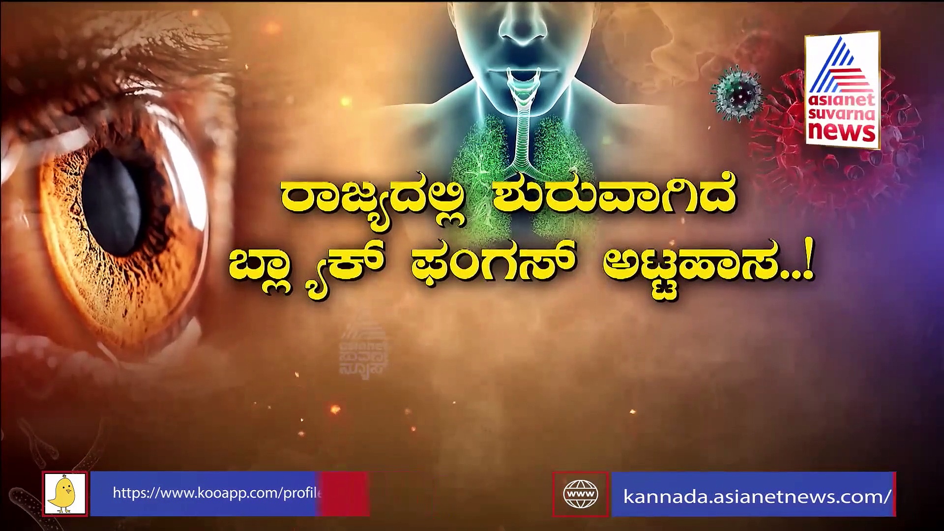 ಮಾರಣಾಂತಿಕ ಬ್ಲಾಕ್ ಫಂಗಸ್ - ಸ್ಟಿರಾಯ್ಡ್ : ಮತ್ತೊಂದು ಮಹಾಮಾರಿ ಬಗ್ಗೆ  ಎಚ್ಚರ..!