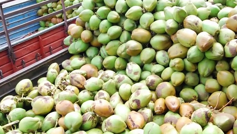 കരിക്കിന്‍വെള്ളം വെറും ക്ഷീണമകറ്റാന്‍ മാത്രമല്ല. ഇതാ അറിയൂ കരിക്കിന്‍വെള്ളത്തിന്റെ പത്ത് ആരോഗ്യഗുണങ്ങള്‍...