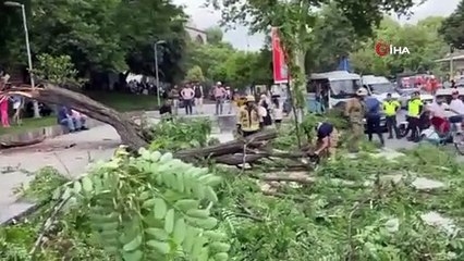 Beyoğlu’nda gövdesinden kırılan ağaç yola devrildi: 2’si turist 3 kişi yaralandı