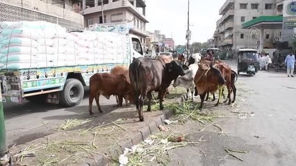 Dünya Çevre Günü öncesinde Karaçi kent merkezinden manzaralar