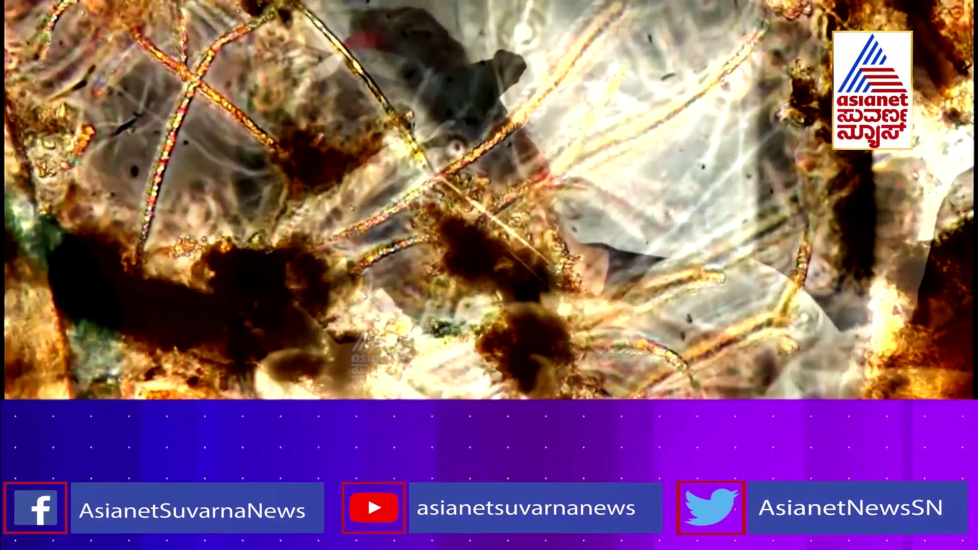 ಕೊರೋನಾ ಬರದಿರಲು ಹಾವನ್ನೇ ಕಚ್ಚಿ ಕಚ್ಚಿ ತಿಂದ ಭೂಪ ಪೊಲೀಸರ ಅತಿಥಿ!