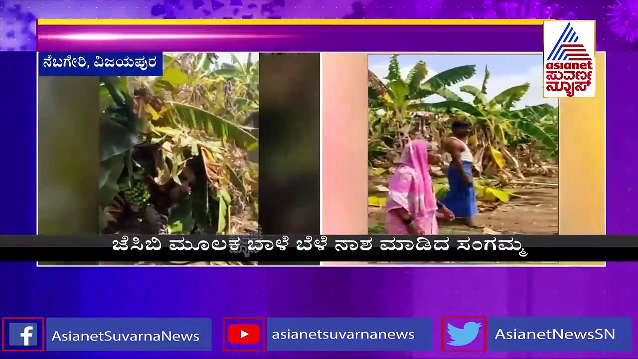 ಲಾಕ್‌ಡೌನ್‌ನಿಂದ ಬಾಳೆಯನ್ನು ಕೇಳುವವರಿಲ್ಲ, ಬೆಳೆ ನಾಶ ಮಾಡಿದ ರೈತ ಮಹಿಳೆ