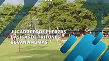 Integrantes de Tritones Vallarta MFC se van a Pumas | CPS Noticias Puerto Vallarta
