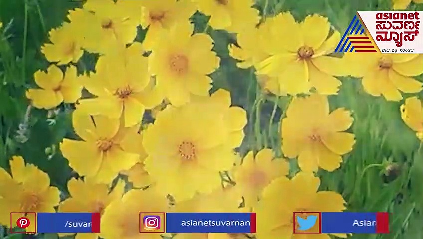 'ಭಾಗ್ಯವಂತರು' ಚಿತ್ರದ ಬಾನ ದಾರಿಯಲ್ಲಿ ಹಾಡಿ ಫಾದರ್ಸ್‌ ಡೇಗೆ ಪುನೀತ್ ವಿಶ್!