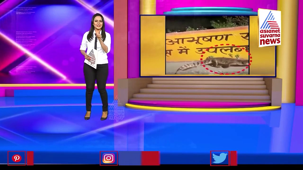 ಮೆಟ್ರೋದಲ್ಲಿ ಕಾಡುಹಂದಿ ಸಂಚಾರ, ಪ್ರಯಾಣಿಕರಿಗೆ ಪುಕಪುಕ..!