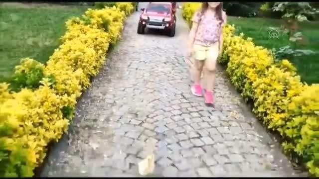 İlkokul öğrencilerinin ördekli Karayolları Trafik Haftası videosu ilgi gördü