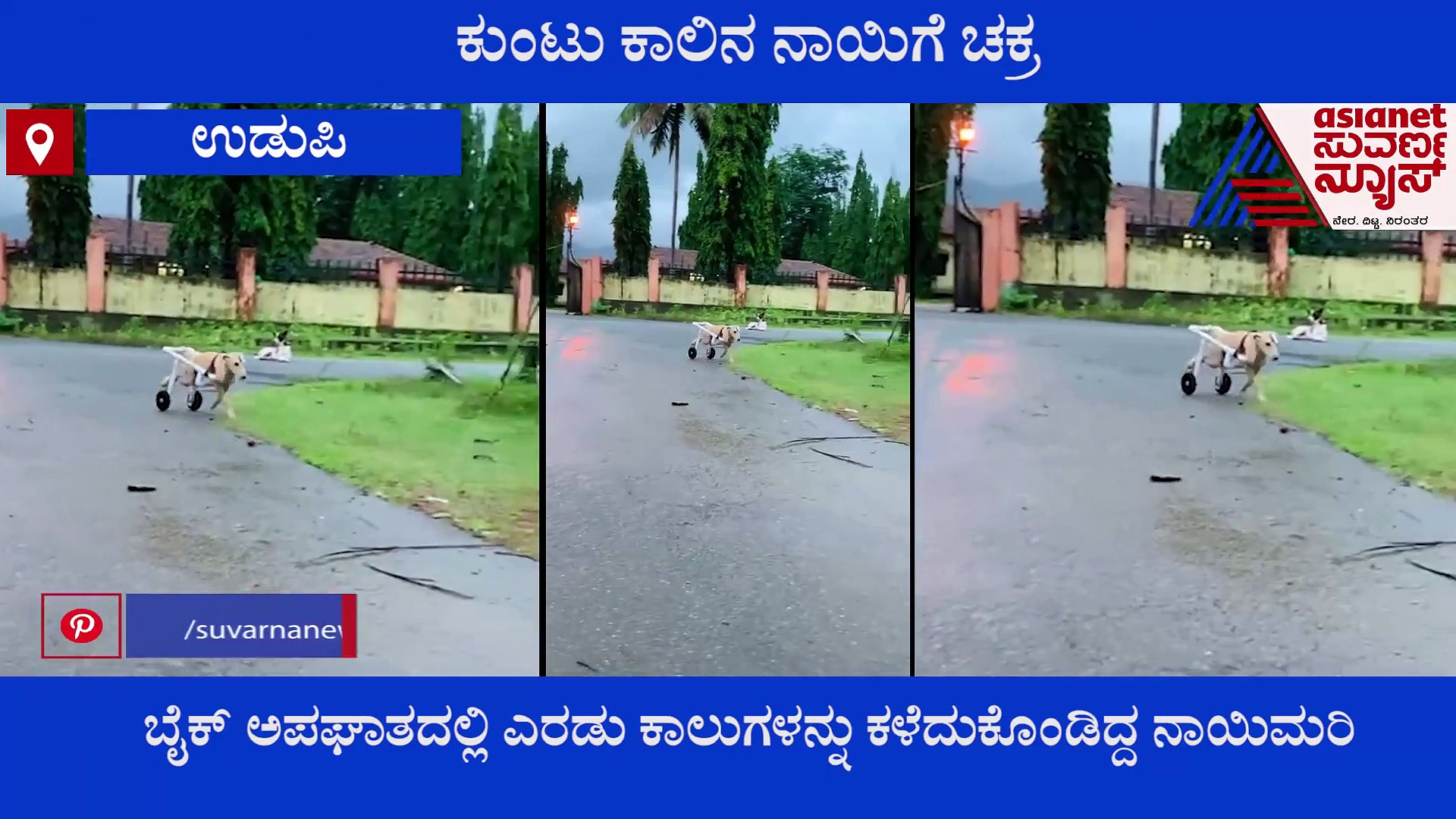 ಕಾಲು ಕಳೆದುಕೊಂಡ ಶ್ವಾನಕ್ಕೆ ಹೊಸ ಜೀವನ ಕೊಟ್ಟ ಉಡುಪಿ ಕುಟುಂಬ