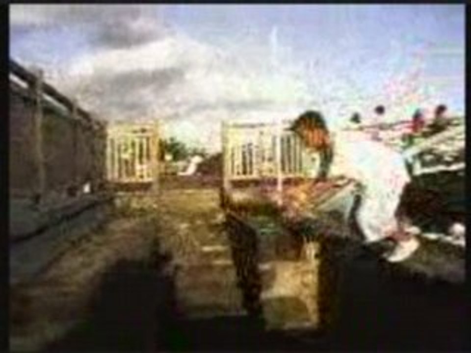 cascade ipx parkour