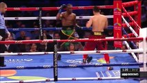 Nonito Donaire vs Nicholas Walters Full Highlights