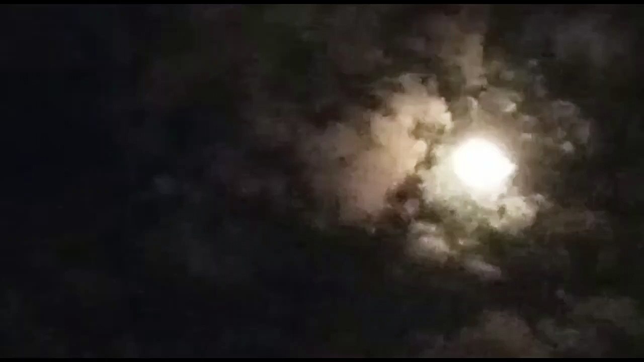 vid 1.1