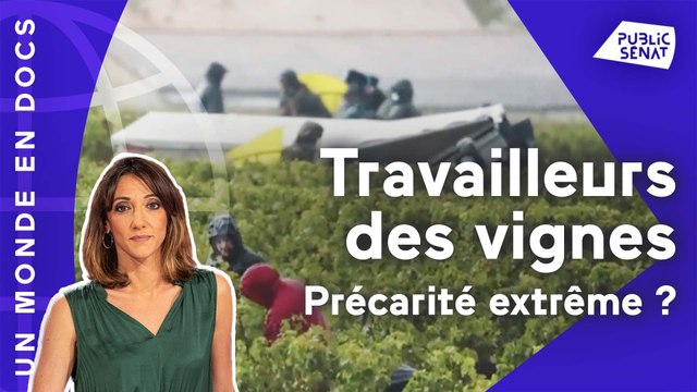 Travailleurs des vignes : précarité extrême