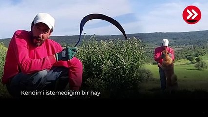 'Sıfır sermayeyle yapılacak çok şey var!' Şehirdeki hesap köyde tutmadı