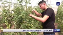 أرض اليأس.. تعاونية زراعية تحصد الأمل في فلسطين