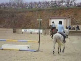 stage jacques robert