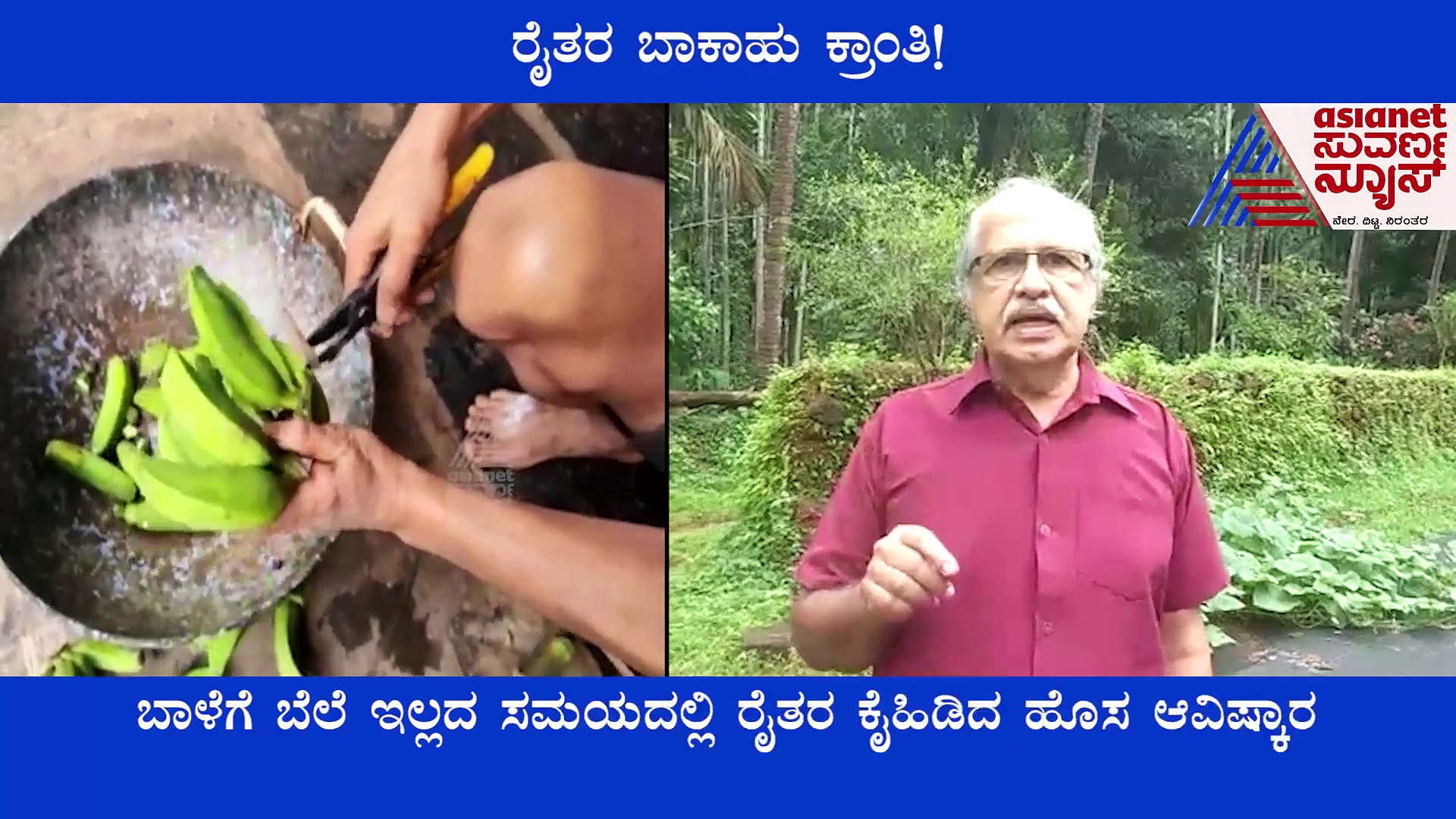 ಮೈದಾ, ಗೋಧಿ ಹಿಟ್ಟಿಗೆ ಪರ್ಯಾಯ ಈ ಬಾಕಾಹು..! ಏನಿದು ?