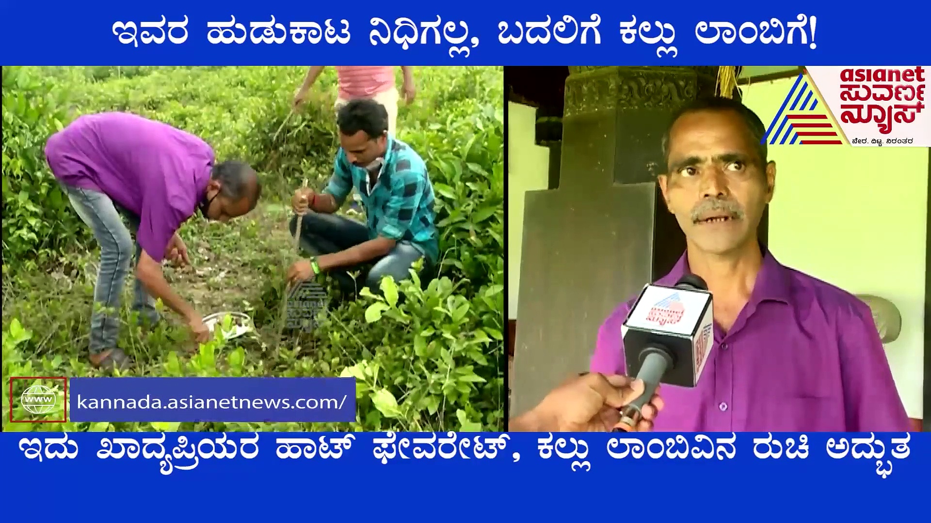 ತಿಂದವರೇ ಬಲ್ಲವರು ಕಲ್ಲು ಲಾಂಬಿನ ರುಚಿ; ಹುಡುಕುವುದು ಮಾತ್ರ ಸವಾಲೇ ಸರಿ!