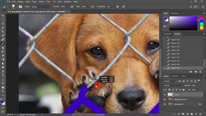How to remove Fence in Adobe Photoshop