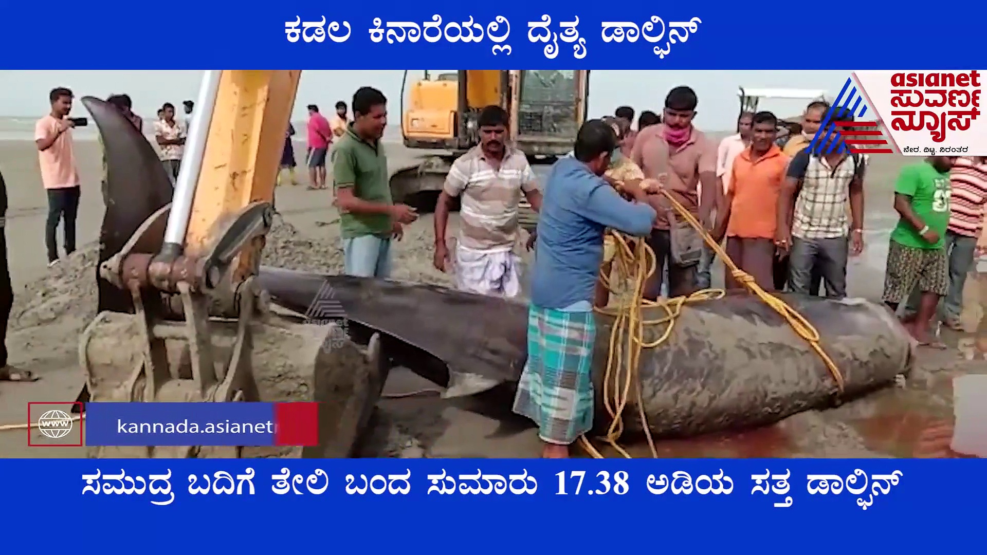 ಕಡಲ ಕಿನಾರೆಗೆ ತೇಲಿ ಬಂತು ದೈತ್ಯ ಡಾಲ್ಫಿನ್!