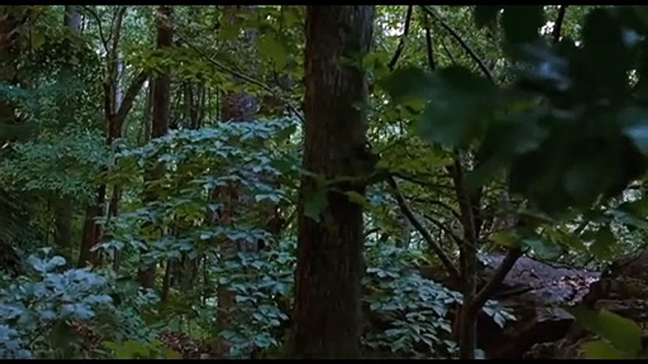 The Starving Games (2022) - Teaser 2